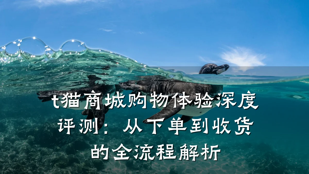 t猫商城购物体验深度评测：从下单到收货的全流程解析