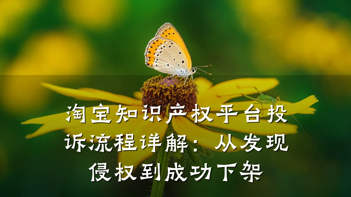 淘宝知识产权平台投诉流程详解:从发现侵权到成功下架