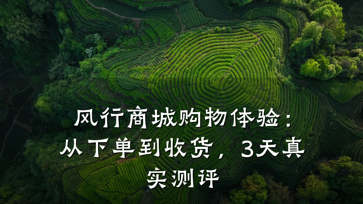 风行商城购物体验:从下单到收货,3天真实测评