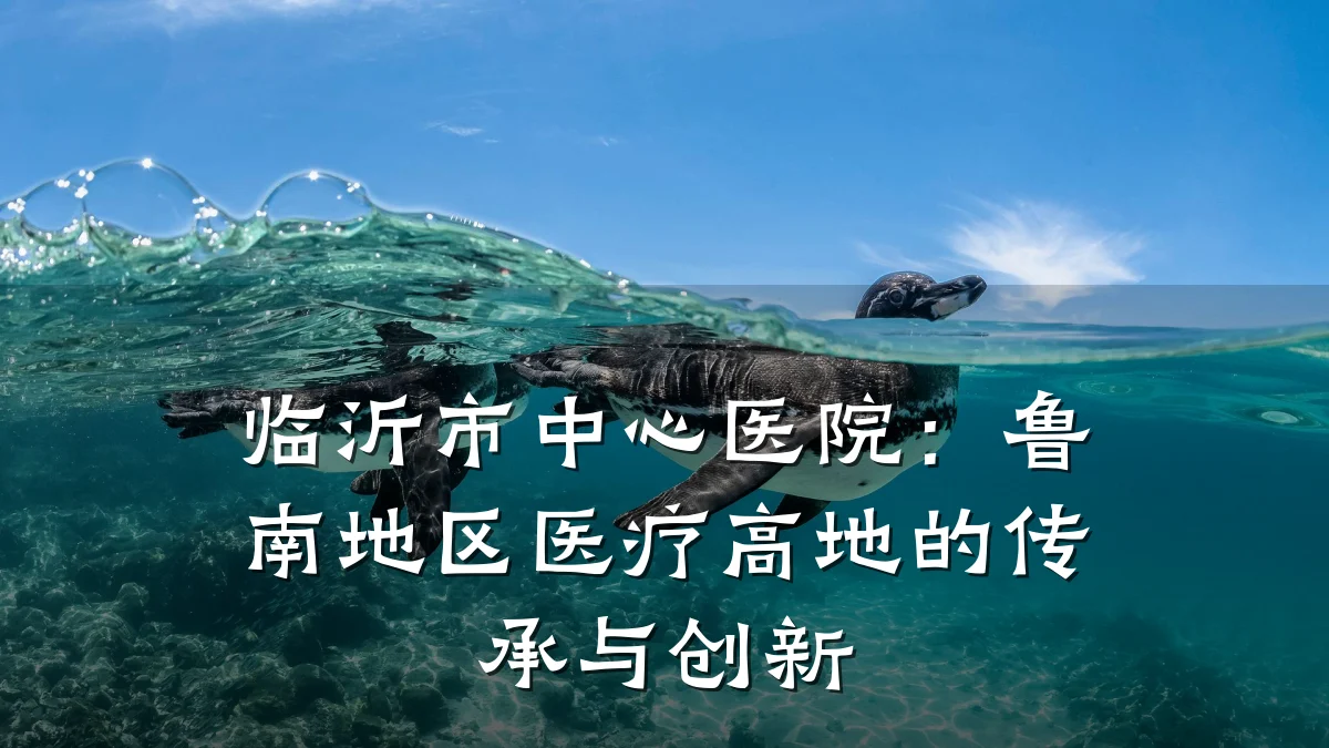 临沂市中心医院:鲁南地区医疗高地的传承与创新