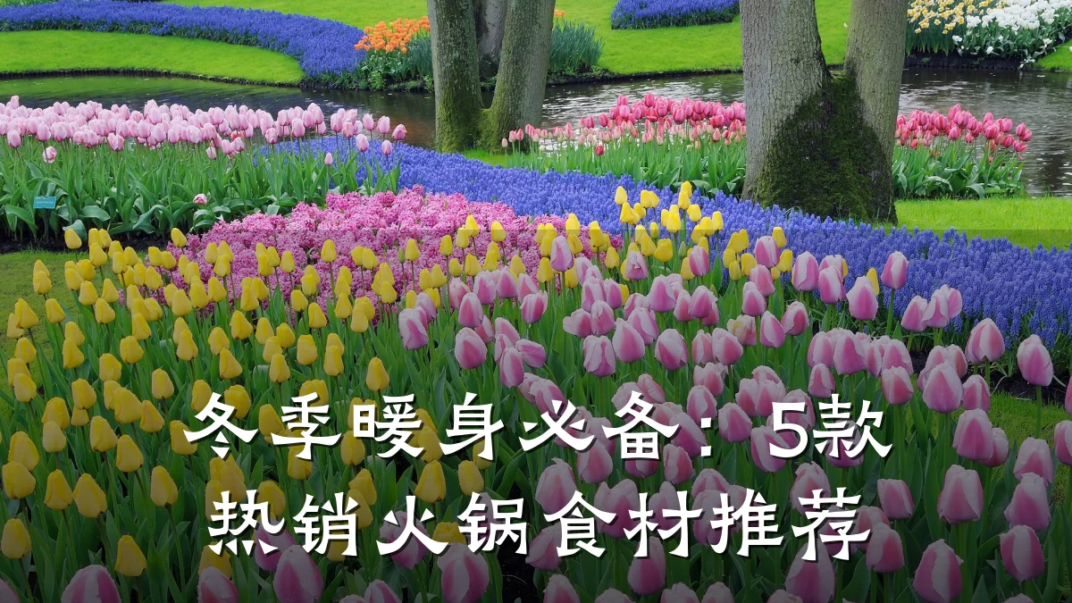 冬季暖身必备：5款热销火锅食材推荐