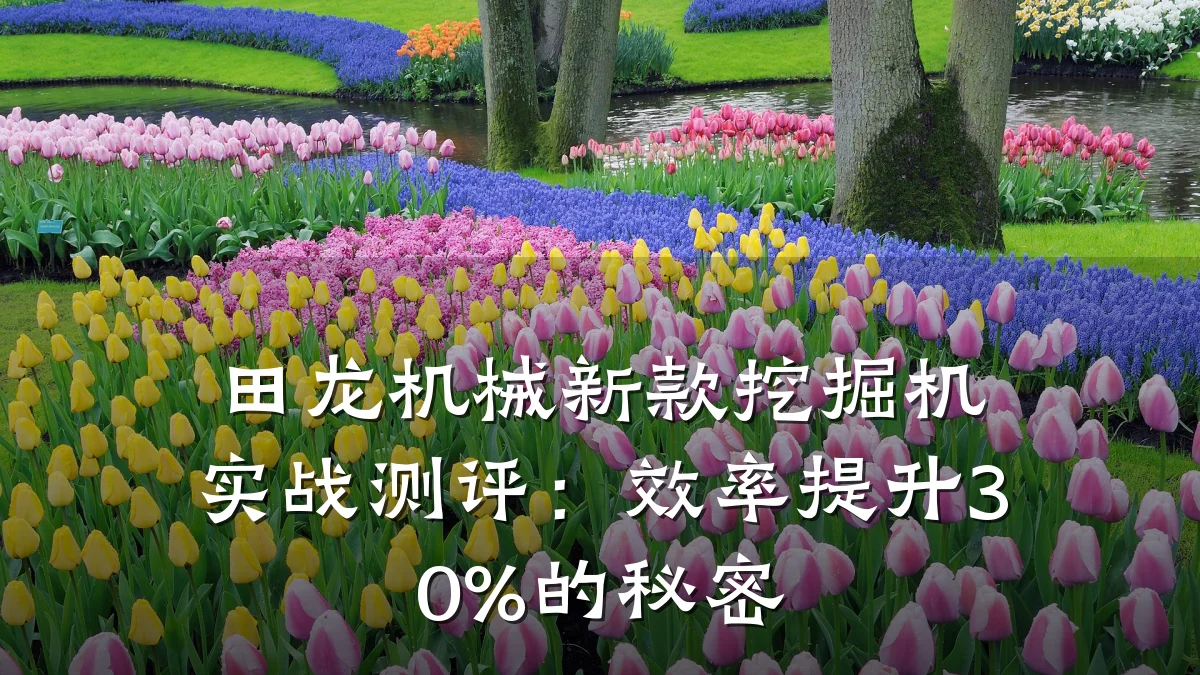 田龙机械新款挖掘机实战测评:效率提升30%的秘密