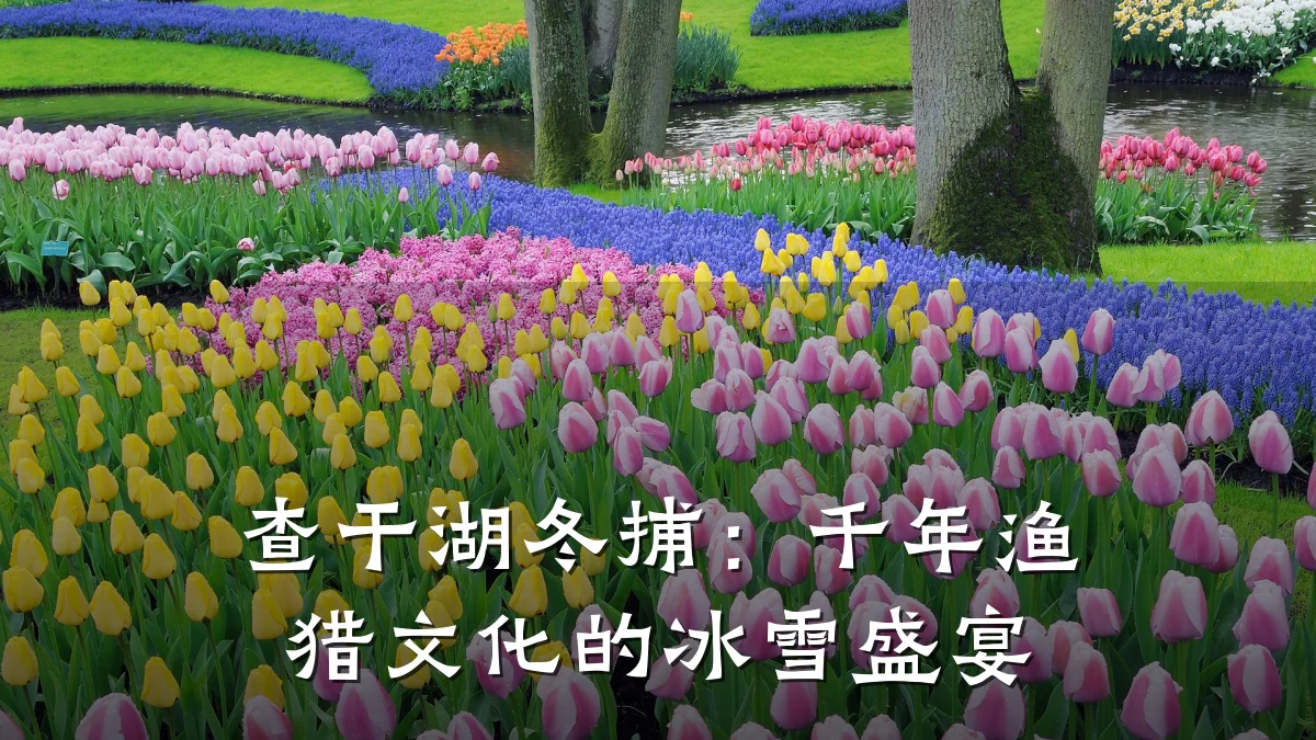 查干湖冬捕：千年渔猎文化的冰雪盛宴
