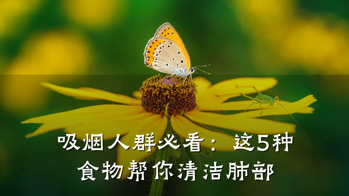 吸烟人群必看：这5种食物帮你清洁肺部