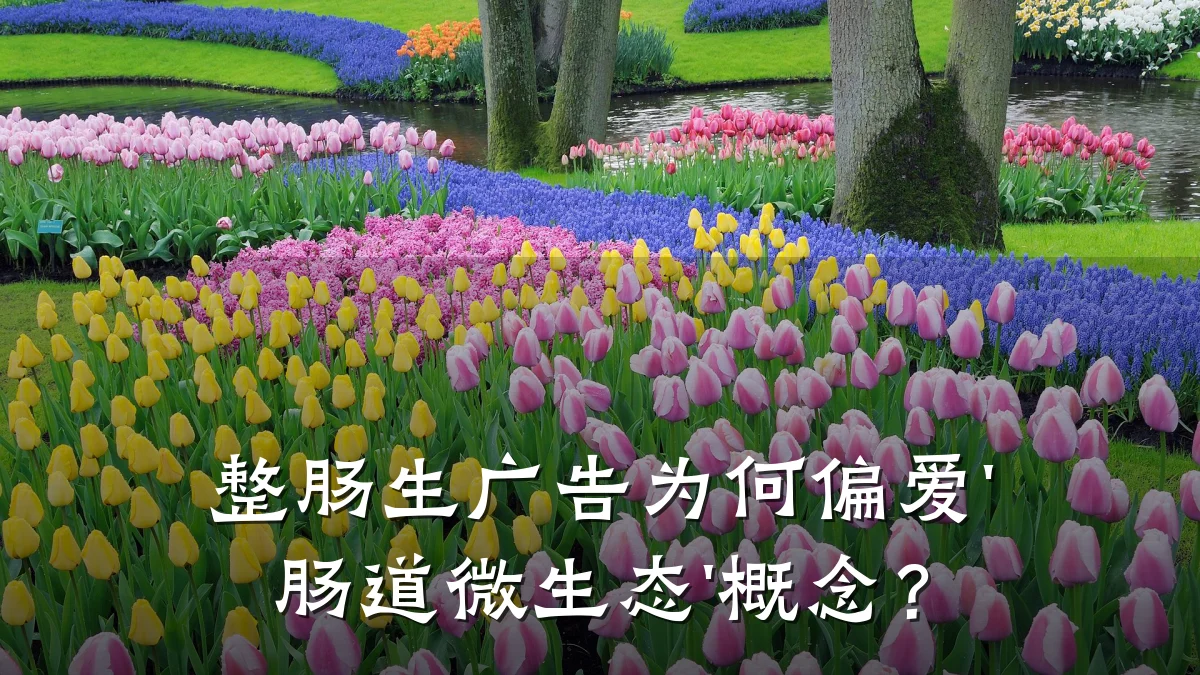 整肠生广告为何偏爱'肠道微生态'概念?