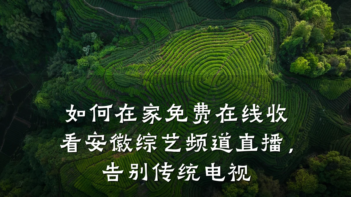 如何在家免费在线收看安徽综艺频道直播,告别传统电视