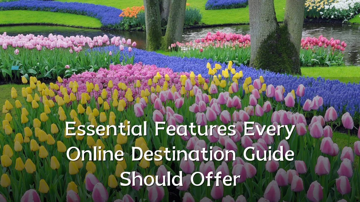 Essential Features Every Online Destination Guide Should Offer