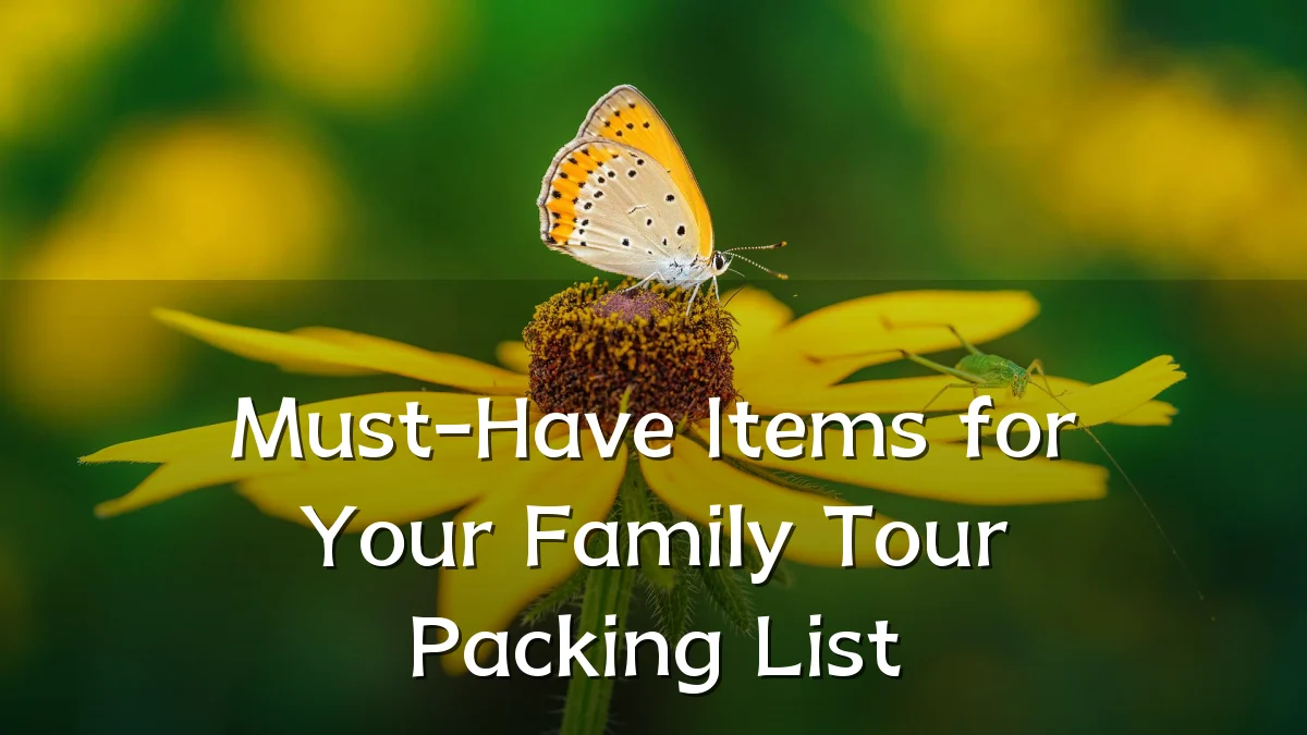 Must-Have Items for Your Family Tour Packing List