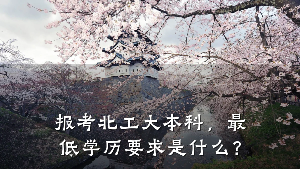 报考北工大本科,最低学历要求是什么?