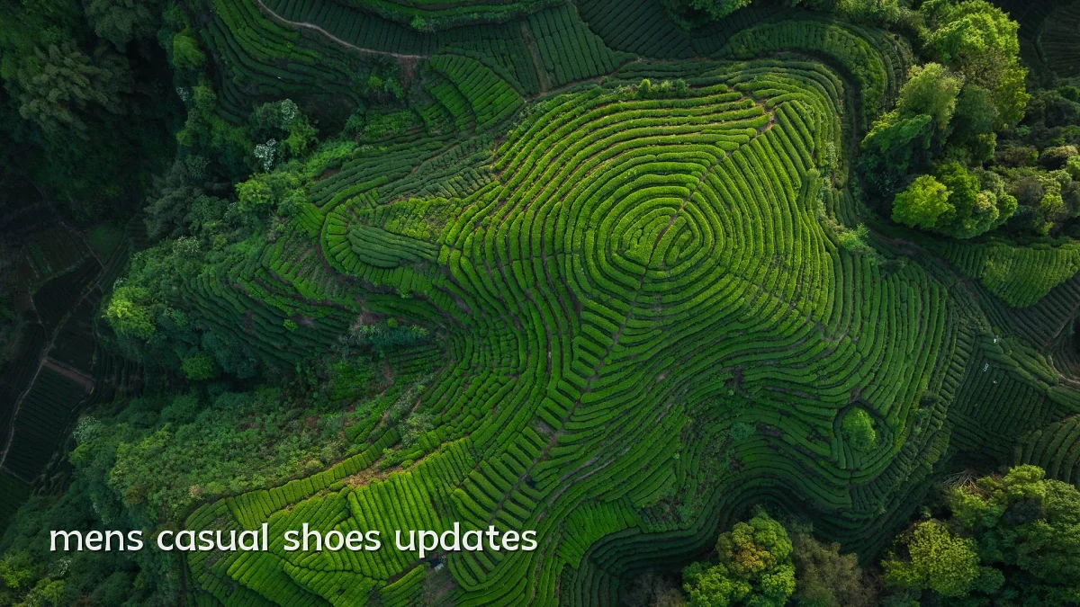 mens casual shoes updates