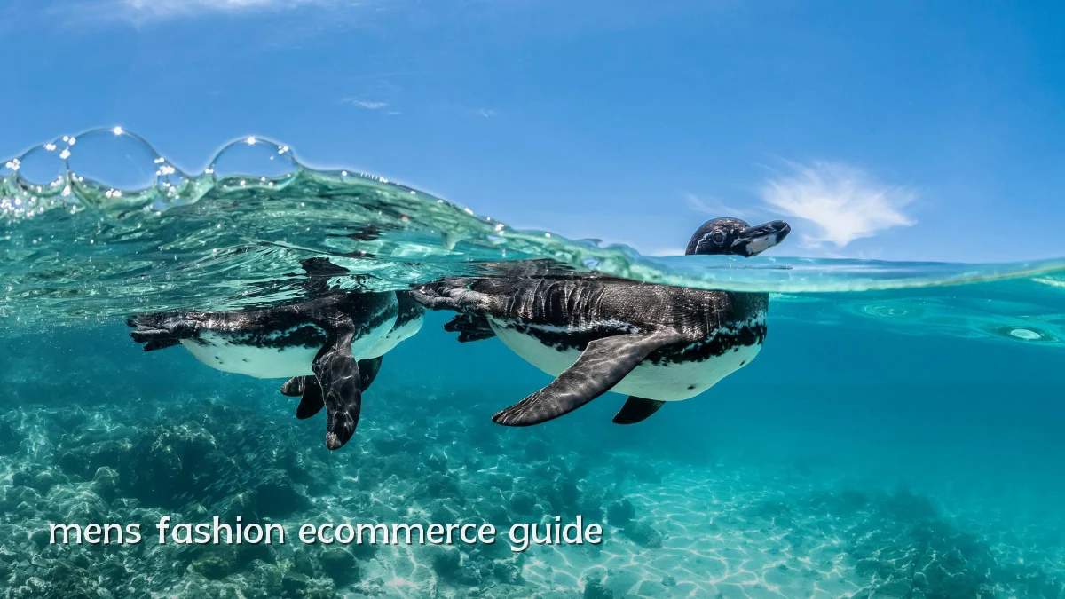 mens fashion ecommerce guide