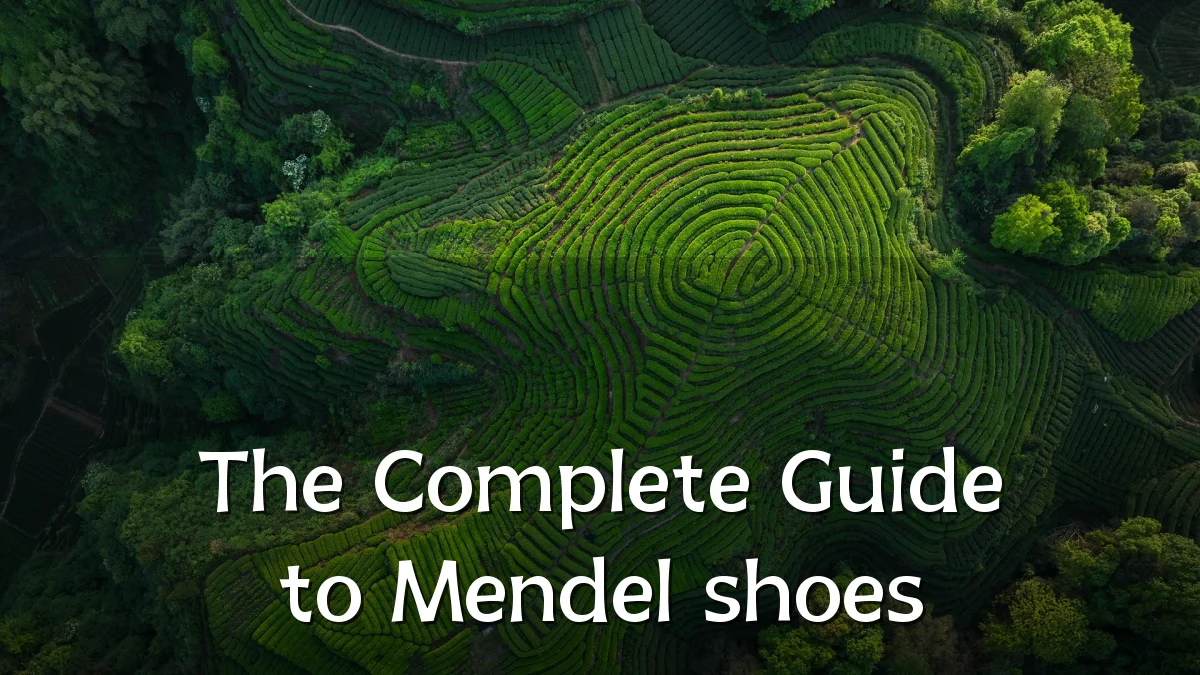 The Complete Guide to Mendel shoes