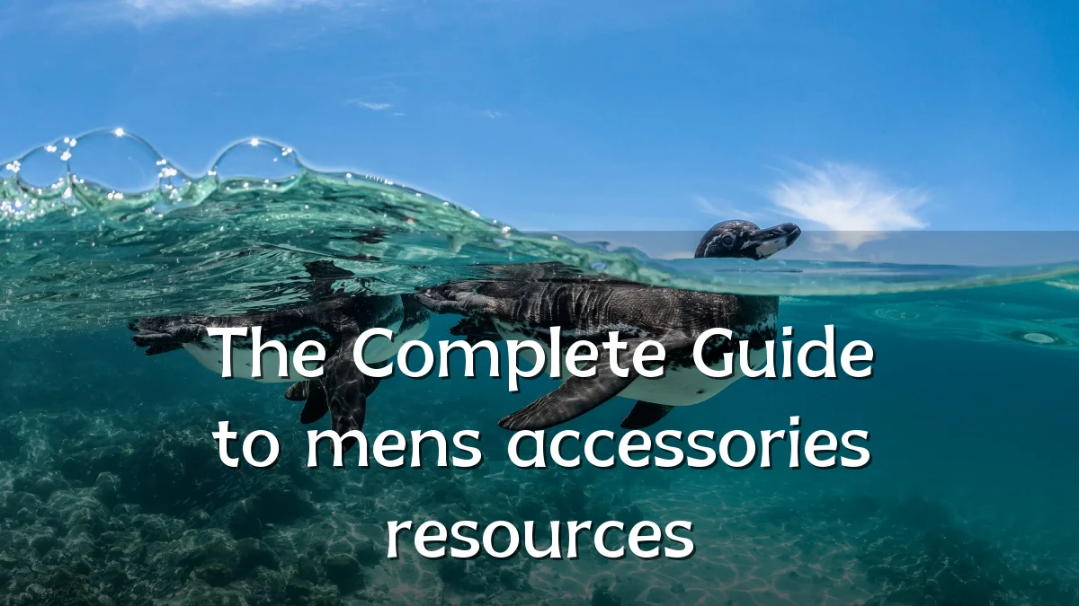 The Complete Guide to mens accessories resources