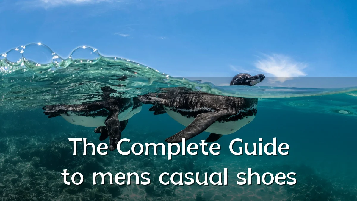 The Complete Guide to mens casual shoes
