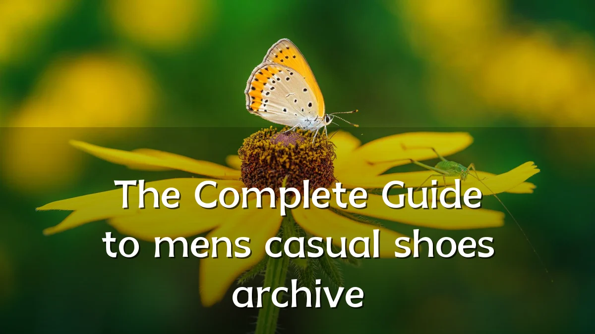 The Complete Guide to mens casual shoes archive