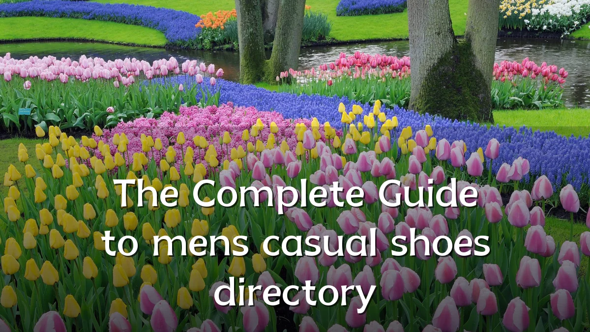 The Complete Guide to mens casual shoes directory