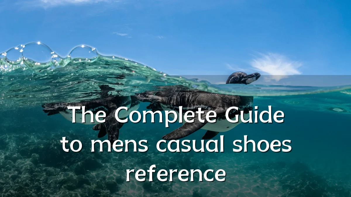 The Complete Guide to mens casual shoes reference