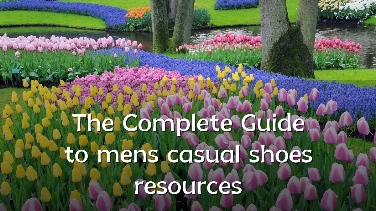 The Complete Guide to mens casual shoes resources