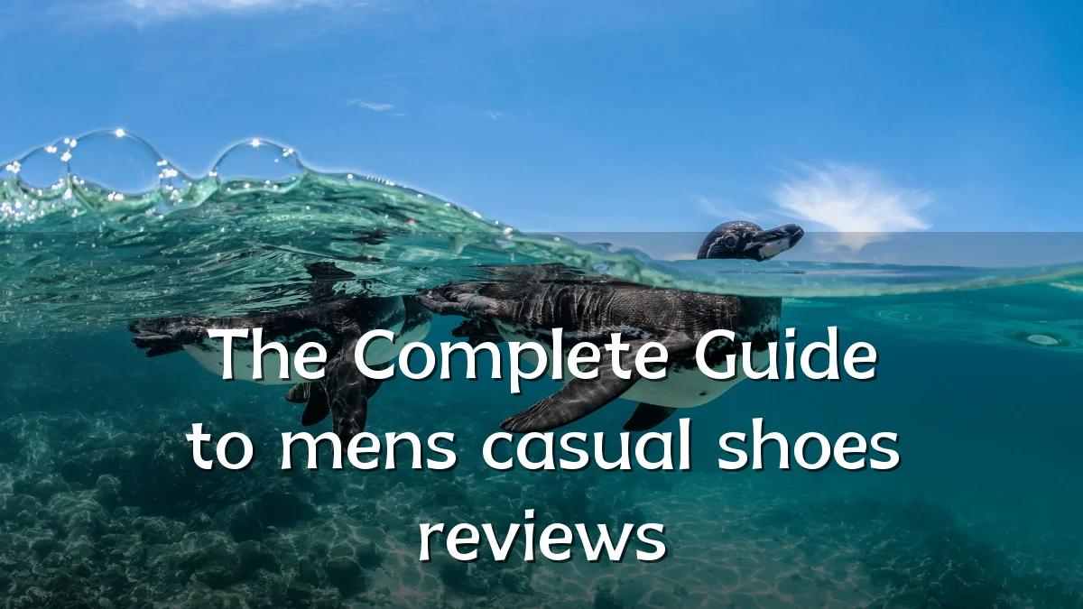 The Complete Guide to mens casual shoes reviews