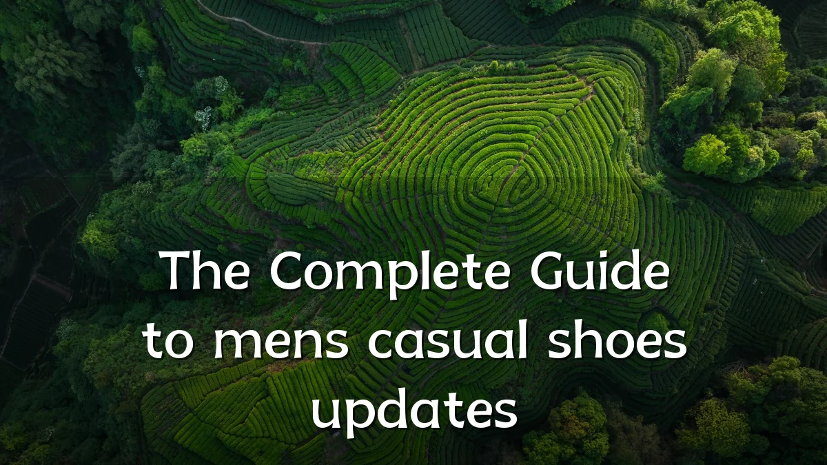 The Complete Guide to mens casual shoes updates