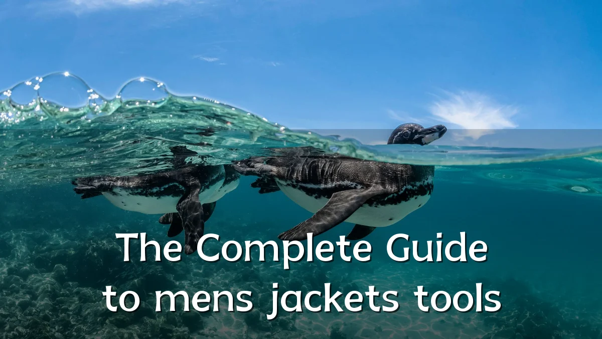 The Complete Guide to mens jackets tools