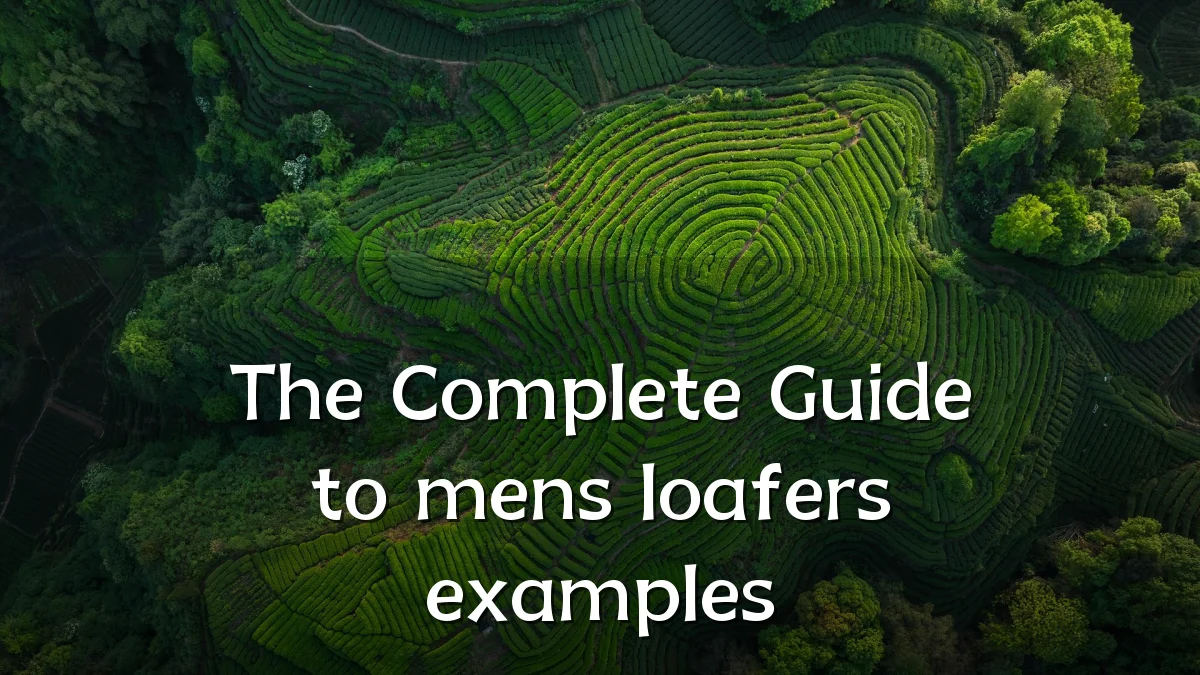 The Complete Guide to mens loafers examples