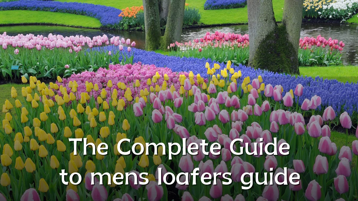The Complete Guide to mens loafers guide