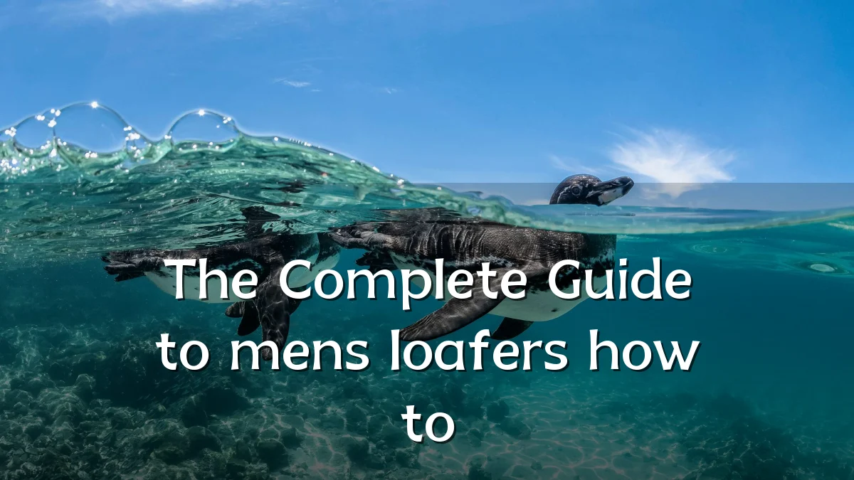 The Complete Guide to mens loafers how to