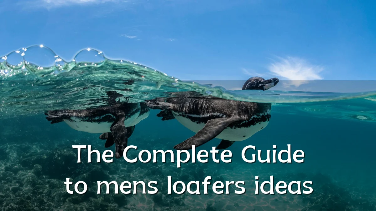 The Complete Guide to mens loafers ideas