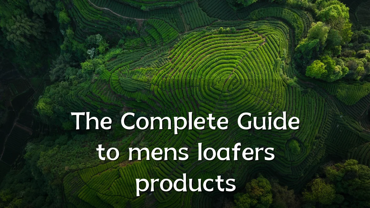 The Complete Guide to mens loafers products