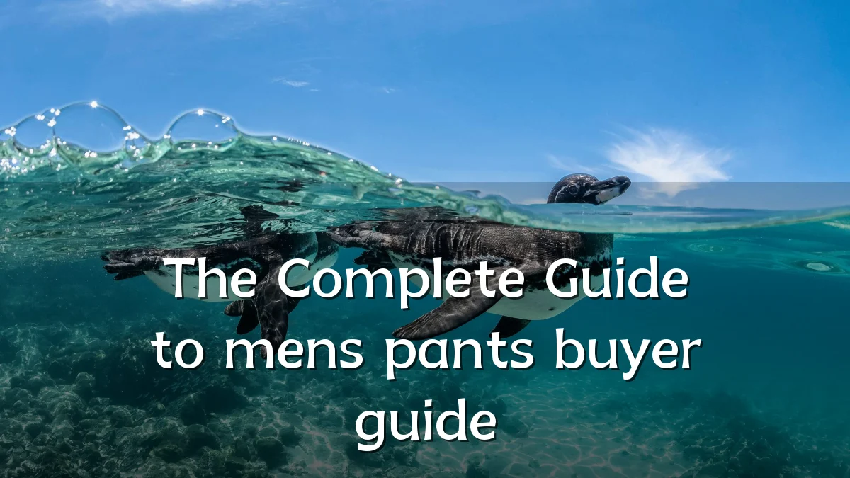 The Complete Guide to mens pants buyer guide