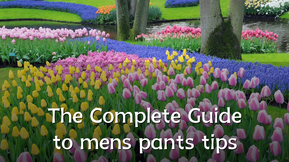 The Complete Guide to mens pants tips