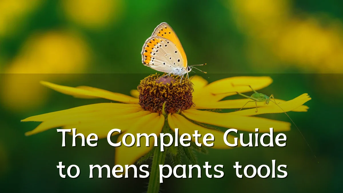 The Complete Guide to mens pants tools