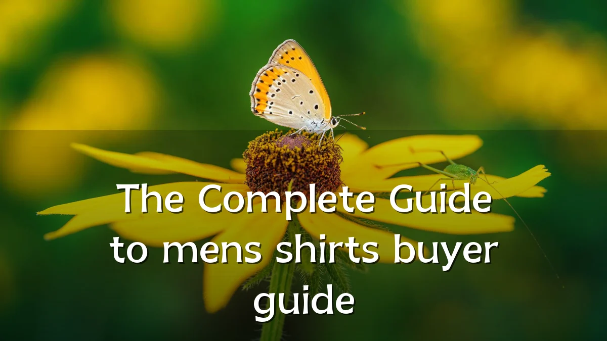 The Complete Guide to mens shirts buyer guide