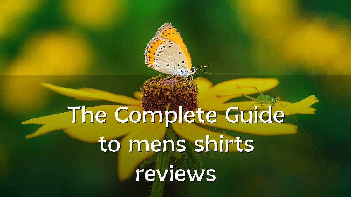 The Complete Guide to mens shirts reviews