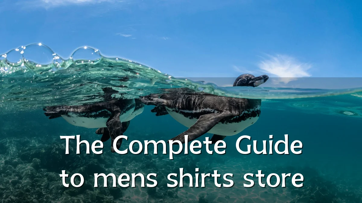 The Complete Guide to mens shirts store