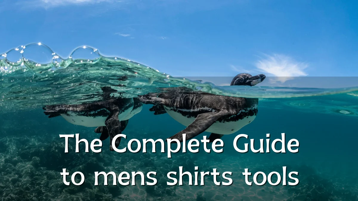 The Complete Guide to mens shirts tools