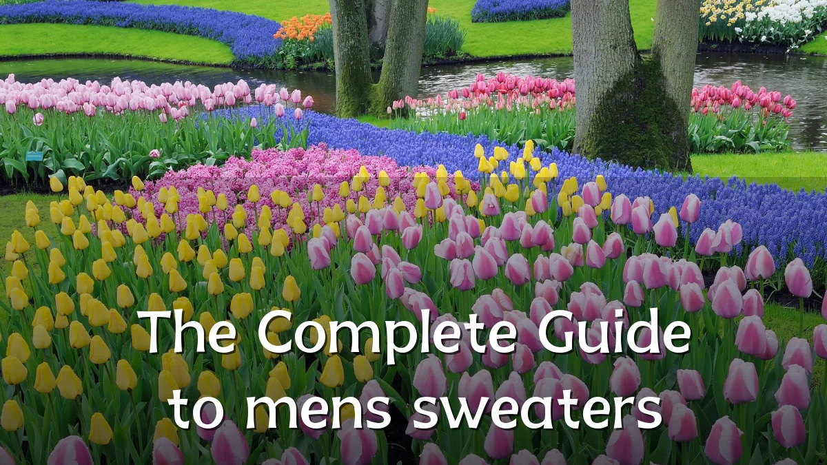 The Complete Guide to mens sweaters