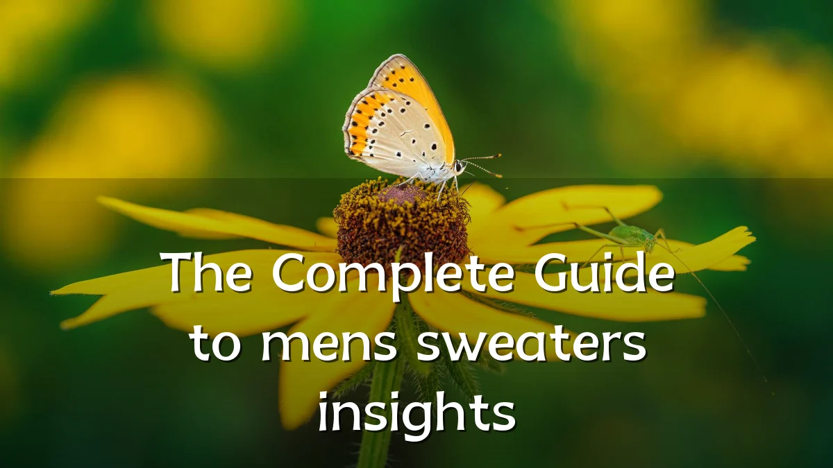 The Complete Guide to mens sweaters insights