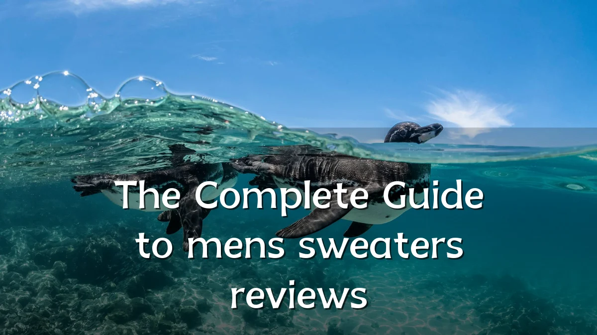 The Complete Guide to mens sweaters reviews