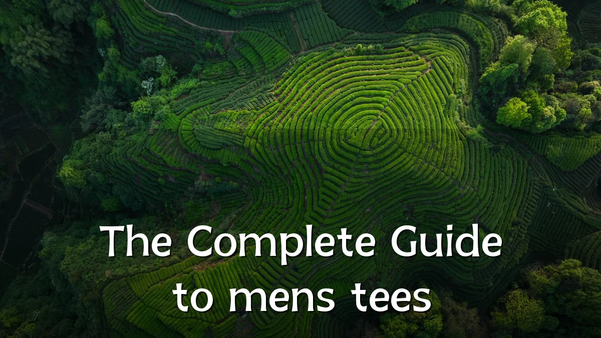 The Complete Guide to mens tees