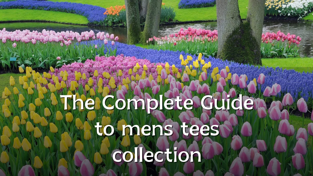 The Complete Guide to mens tees collection