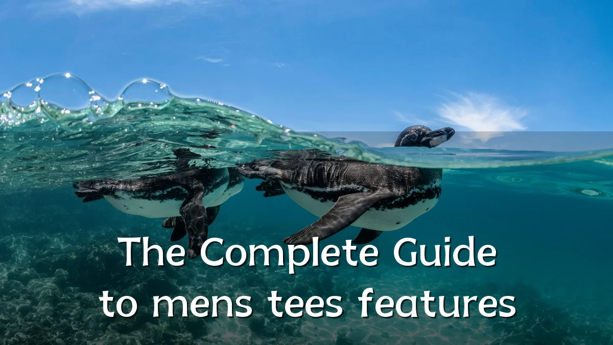 The Complete Guide to mens tees features