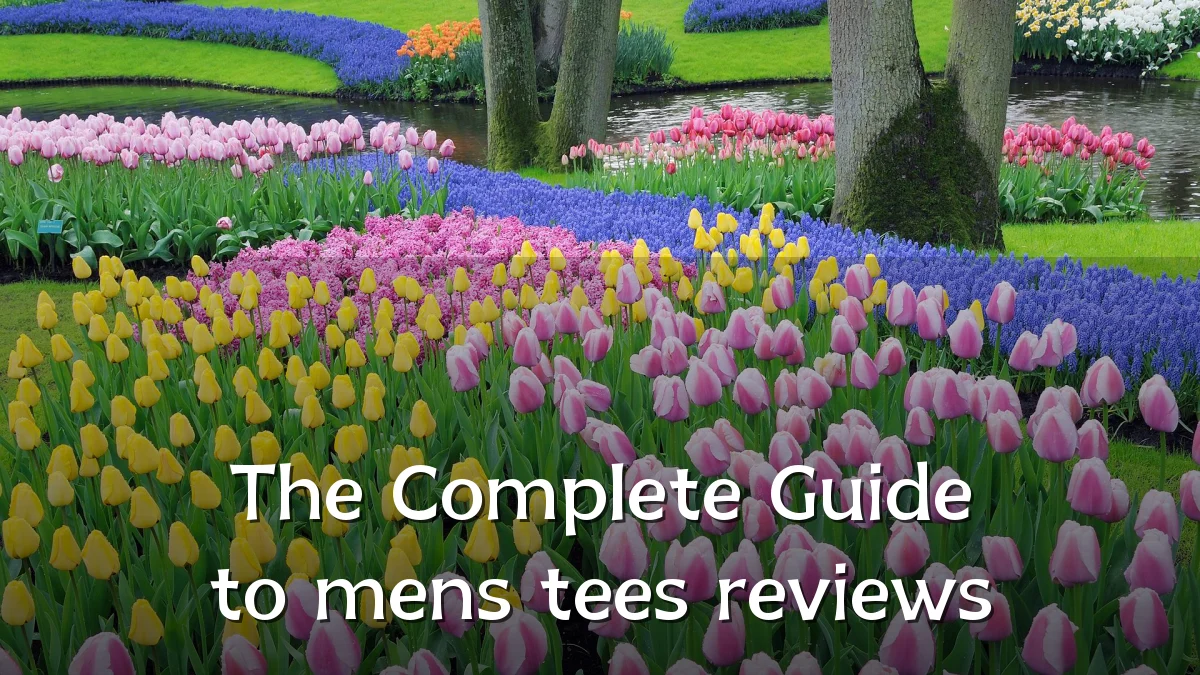 The Complete Guide to mens tees reviews