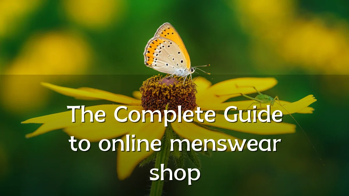 The Complete Guide to online menswear shop