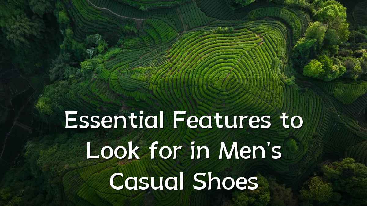 Essential Features to Look for in Men's Casual Shoes