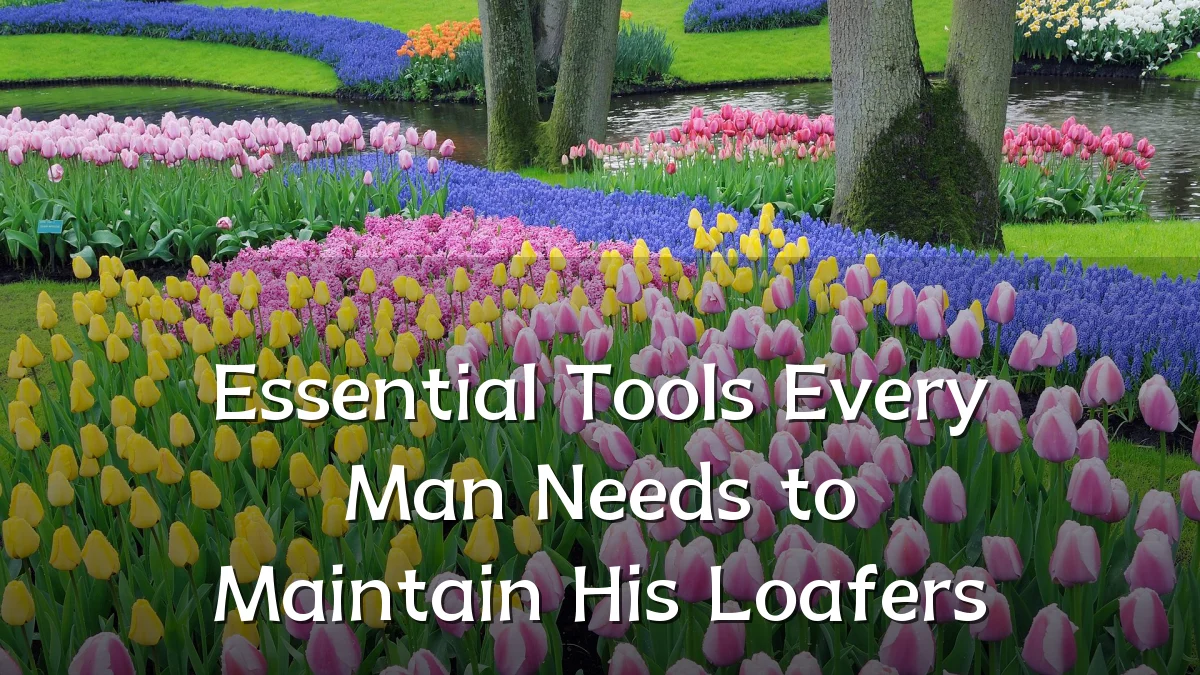 Essential Tools Every Man Needs to Maintain His Loafers