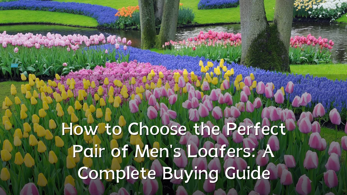 How to Choose the Perfect Pair of Men's Loafers: A Complete Buying Guide
