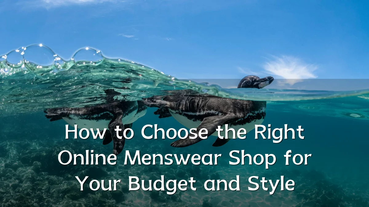 How to Choose the Right Online Menswear Shop for Your Budget and Style