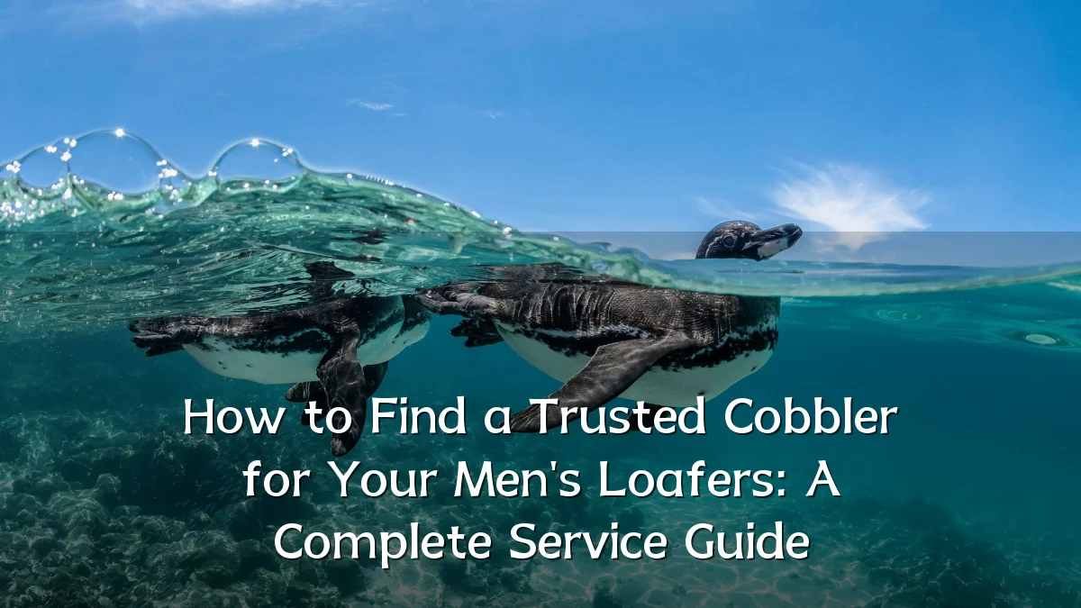 How to Find a Trusted Cobbler for Your Men's Loafers: A Complete Service Guide